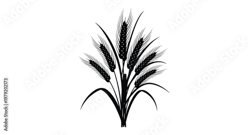 A black silhouette illustration of wheat stalks with detailed grain heads