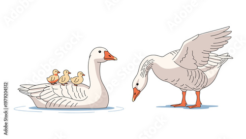 Mother goose swims in the water with three small goslings on her back while another goose stretches its wings nearby in nature.