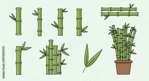 Bamboo Collection: Stalks, Leaves, and Potted Plant - Vector Illustration