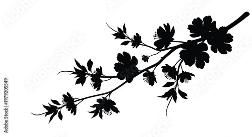 A delicate black silhouette of cherry blossoms and branches