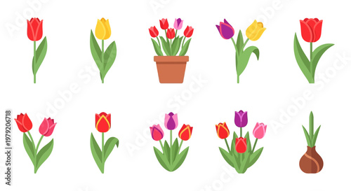 Colorful Tulip Flower Icons Set, Spring Blooms Collection