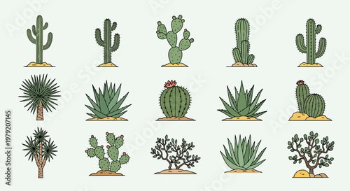 Desert Cacti Collection: Diverse Succulent Plants in Flat Design Style