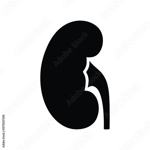Human kidney organ silhouette icon flat vector symbol