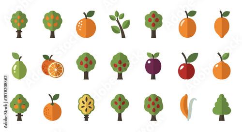 Flat Design Fruit Trees and Oranges Icons Set