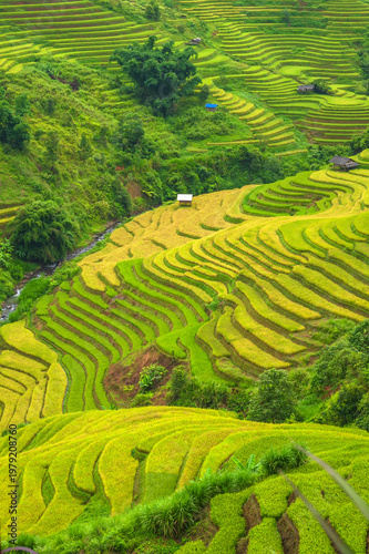 Natural and urban views of Vietnam