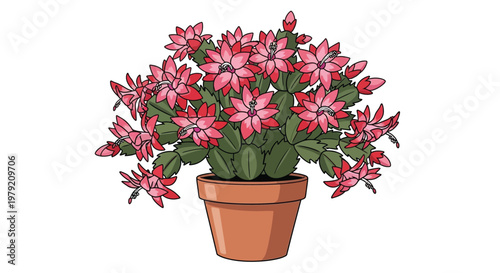 A vibrant christmas cactus in a terracotta pot beautifully illustrated