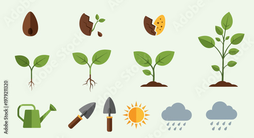 Plant Growth Stages Icons: Seed to Sapling, Watering, Sunlight, Rain