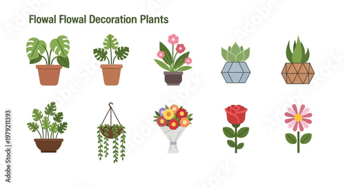 Potted Plants and Flowers Collection: Home Decor & Botanical Illustrations