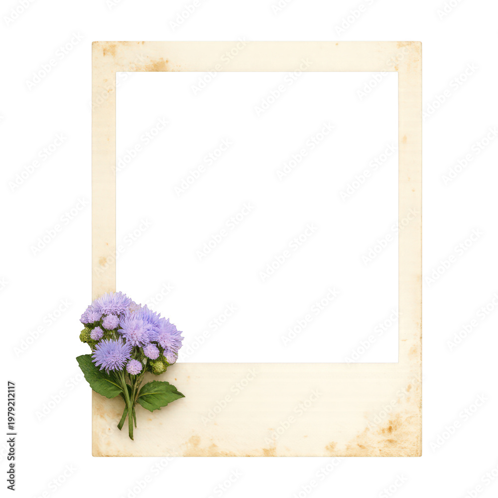 Fototapeta premium PNG Vintage floral photo frame element.