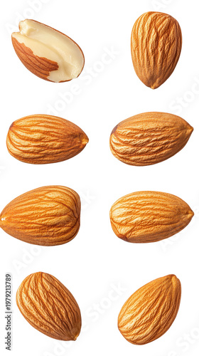 Set of delicious almonds in different positions isolated on transparent background for design.