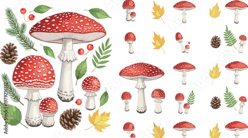 Fly agaric mushroom illustration set with forest elements leaves pinecones and multiple variations isolated on white background, botanical vector collection