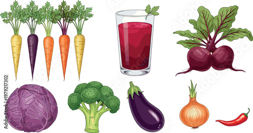 Fresh vegetables and beetroot juice vector illustration set including carrots cabbage broccoli eggplant onion chili and healthy drink isolate