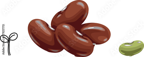 Glossy bean vector illustration set featuring red kidney beans green bean seed and sprout icon isolated on white background