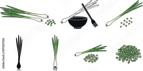 Foto Green onion scallion vector illustration set with whole chopped pieces bowl and
