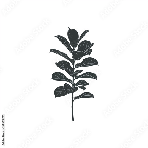 Black and white floral vector illustration of a plant with leaves and branches on white background
