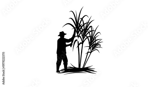 Farmer cutting sugarcane harvest agriculture vector illustration