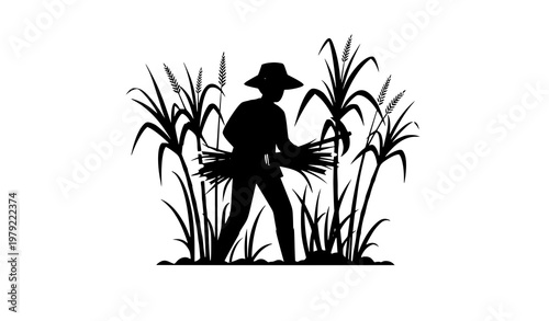 Sugarcane harvesting farmer cartoon agriculture vector scene