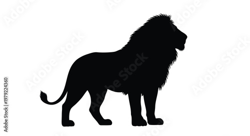 Majestic african lion stands proudly in a dramatic black silhouette