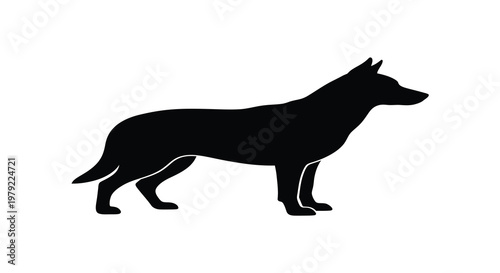 A striking black silhouette of a german shepherd standing proudly