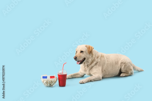 Cute Labrador dog with bowl...