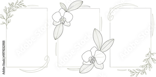 Floral Frame Vector Illustration Set with Elegant Orchid Line Art Borders Minimal Botanical Design Templates Isolated on Background