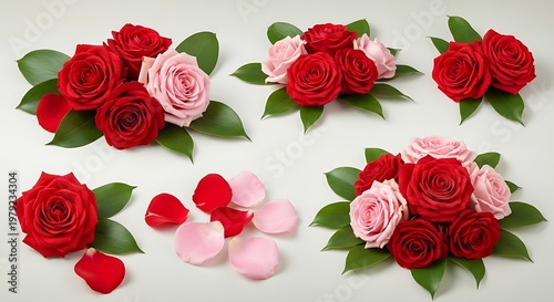 Romantic Red and Pink Rose Arrangements with Fresh Green Leaves and Scattered Petals on White Background