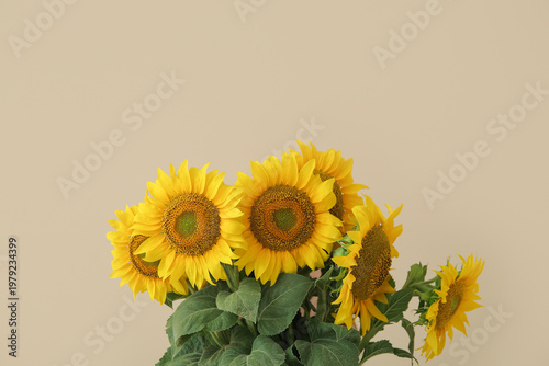 Beautiful sunflowers on bei...