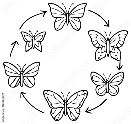 Butterfly Life Cycle Diagram Showing Transformation Illustration