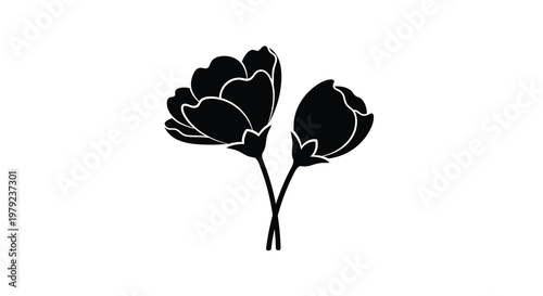 Two blossoming flowers depicted in a striking black silhouette
