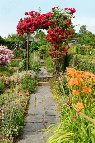 View of garden with beautiful red roses on arch