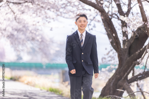桜並木を歩く制服を着た男子高校生
