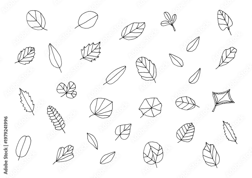 Fototapeta premium 色々な形の葉っぱの手描きイラストセット（黒）