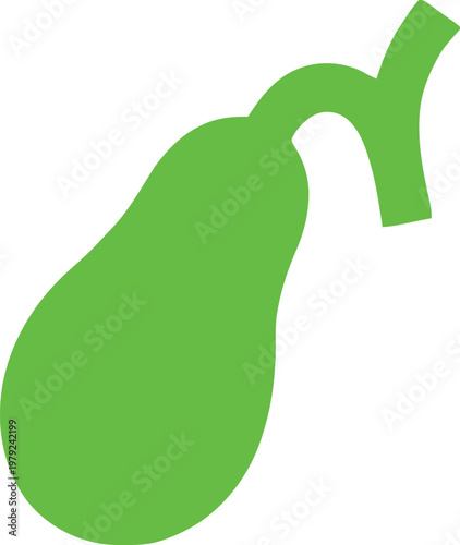 Green human gallbladder organ silhouette medical illustration icon with internal
