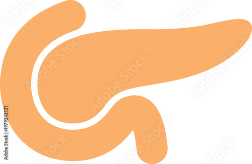 Anatomy illustration of human pancreas organ with pancreas internal clinical