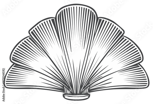 Stylized linear seashell illustration with outlined form on white creating an evocative icon for ocean themes and nautical designs