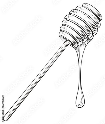 Honey dipper with flowing honey, line art illustration