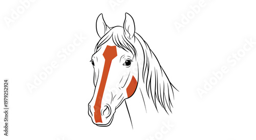 Illustrated horse head with red markings showing anatomy features