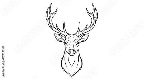 Elegant deer head illustration with antlers looking straight ahead