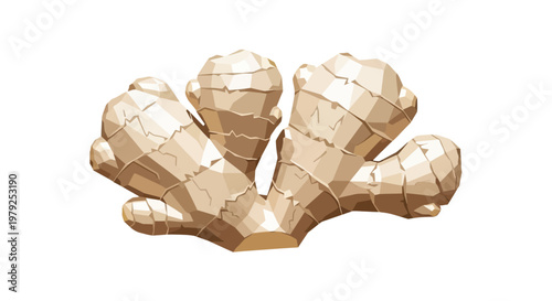 Fresh ginger root close up.