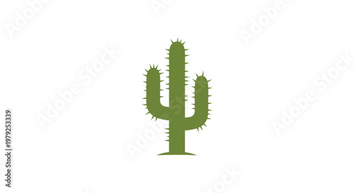 Green Cactus Plant Closeup View.