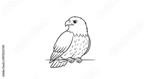 Hawk Bird Perched on Branch Alone.