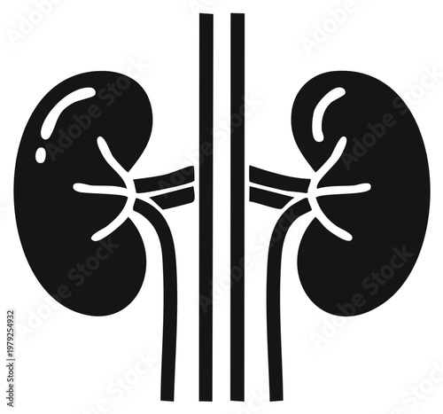 Human Kidneys Anatomy Icon with Renal Artery and Vein Medical Organ Diagram