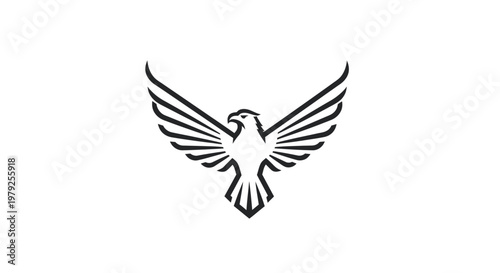 Stylized eagle illustration with spread wings against white background