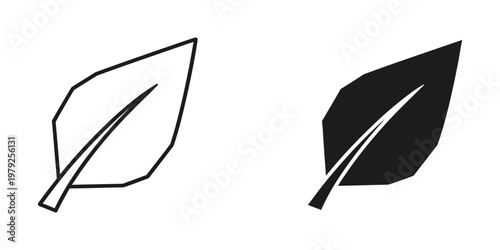 Comparison of an outlined leaf and a filled-in leaf illustration