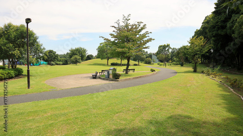 Serene public park in Tatsumi, Koto-ku - Peaceful urban green space with walking path, lush lawns, and resting benches for relaxation and outdoor leisure in Tokyo, Japan