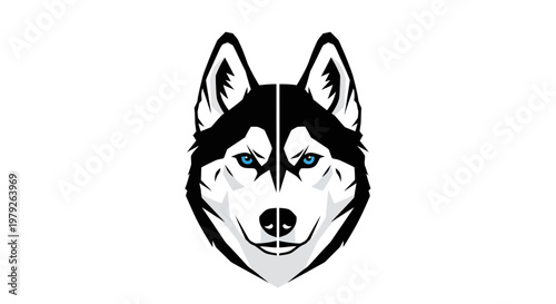 Black and white husky dog face.