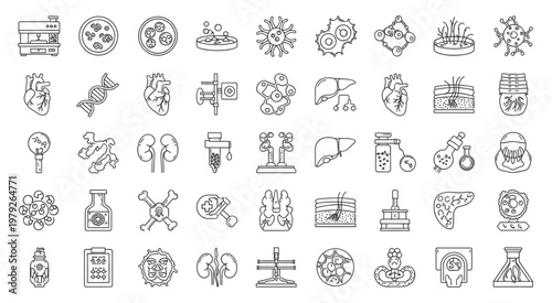 Medical and scientific illustrations of human organs and biological processes.