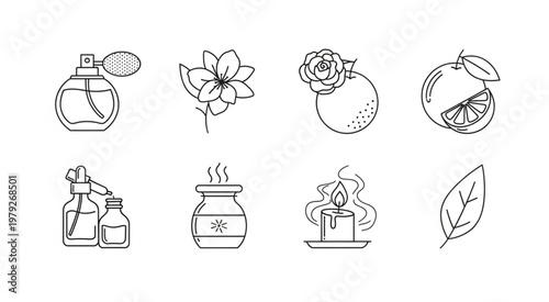 Collection of elegant line art illustrations of various aromatic elements and fragrances.