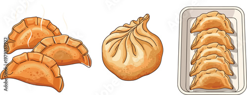 Flat vector dumpling collection featuring steamed gyoza and fried potstickers Asian cuisine snack set isolated food illustration on light background