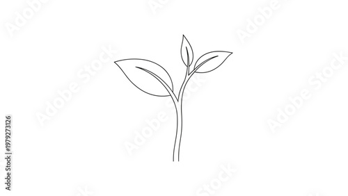 Simple black and white line drawing of a small plant sprout with two leaves growing from a single thin stem.